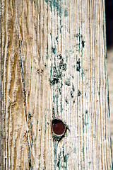 Image showing metal nail green  in the brown   red wood door and  