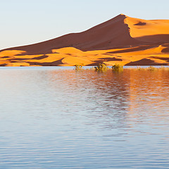 Image showing sunshine in the lake yellow  desert of morocco sand and     dune