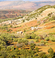 Image showing dades valley in atlas moroco africa ground tree  and nobody