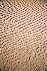 Image showing  brown sand dune in   morocco desert 