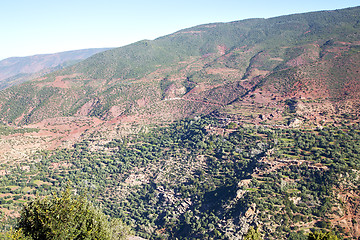 Image showing the    dades   in atlas moroco africa   tree  and nobody