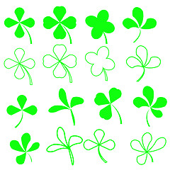 Image showing Green  Shamrocks