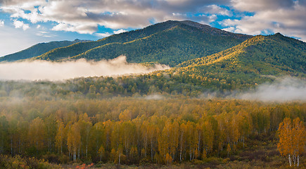 Image showing sunrise in taiga