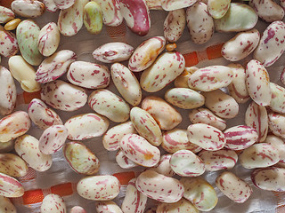 Image showing Crimson beans vegetables background