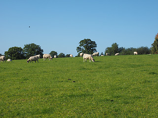 Image showing View of Tanworth in Arden