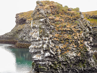 Image showing Icelandic coast