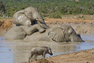 Image showing Muddy Fun