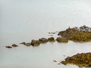 Image showing Icelandic coast