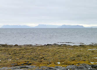 Image showing Icelandic coast