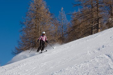 Image showing Skiing