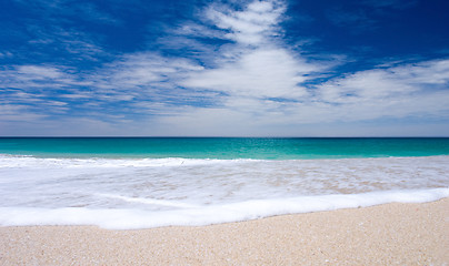 Image showing Tropical Beach