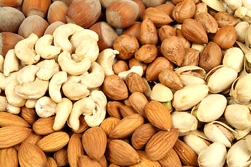 Image showing Nut background