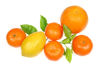 Image showing Orange, lemon and tangerines