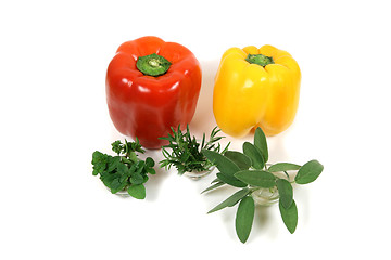 Image showing Vegetables and herbs