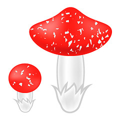 Image showing Poisonous Mushrooms