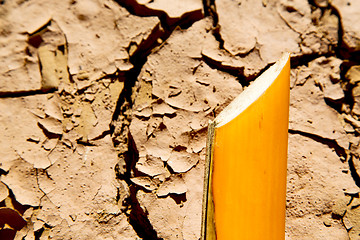 Image showing cracked sand in morocco  abstract   bark