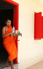 Image showing Monk