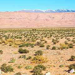 Image showing  in todra gorge morocco africa and  village