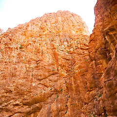 Image showing  in todra gorge morocco africa and river