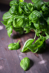 Image showing Fresh organic basil