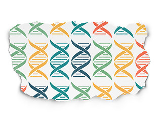 Image showing Science concept: DNA icons on Torn Paper background