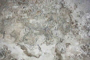 Image showing effects of damp on plaster