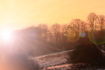 Image showing sunset over the forest 