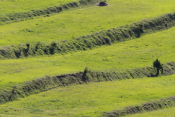 Image showing textural green fields