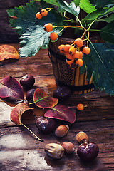 Image showing Autumn still life