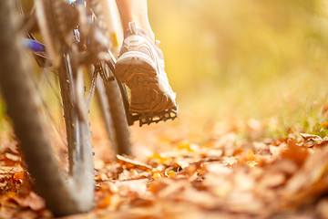 Image showing close-up bike