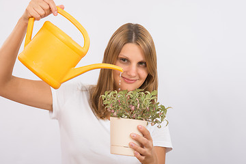 Image showing She pours a decorative flower in pot