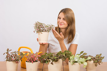 Image showing Happy girl considers his collection of indoor plants