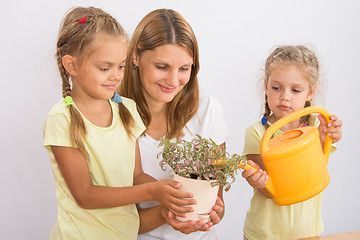 Image showing Mother and daughter watering houseplants