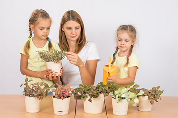 Image showing Mother and daughter consider and watering houseplants