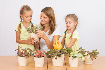 Image showing Mom and daughter caring for plants