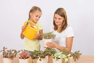 Image showing Mom and daughter watering potted plants