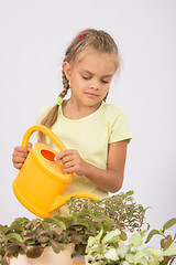 Image showing Six-year girl watering flowers watering