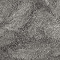 Image showing Wild hair in a close-up