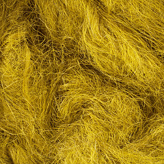 Image showing Wild hair in a close-up