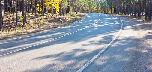 Image showing road in forest