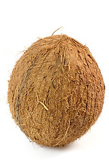 Image showing Coconut