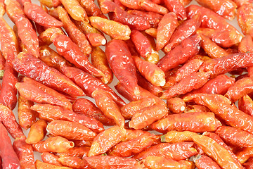 Image showing Dried chili peppers