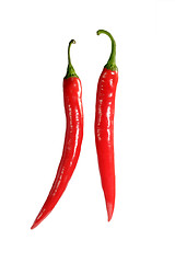 Image showing Pair of chilies