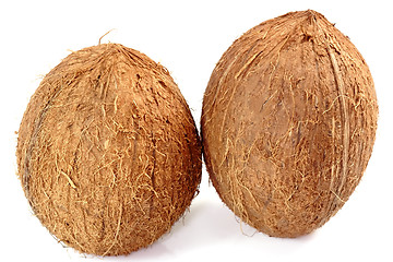 Image showing Two Coconuts