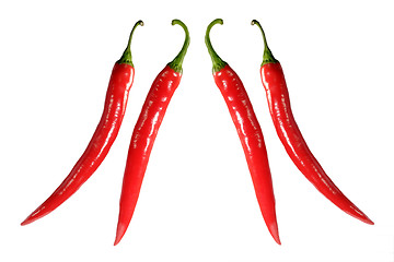 Image showing Two pairs of chilies