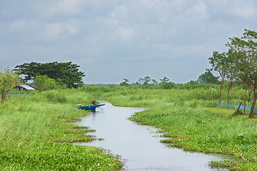 Image showing Rural landscape at the Ayeyarwaddy Region in Myanmar