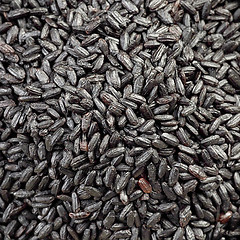 Image showing black rice