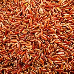 Image showing bowl of red wild rice