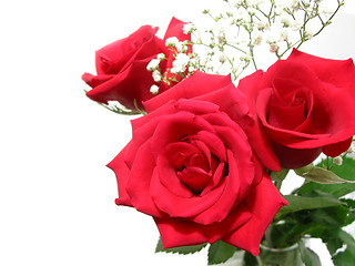 Image showing Rose bouquet on white