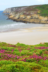 Image showing Atlantic coast in Brittany